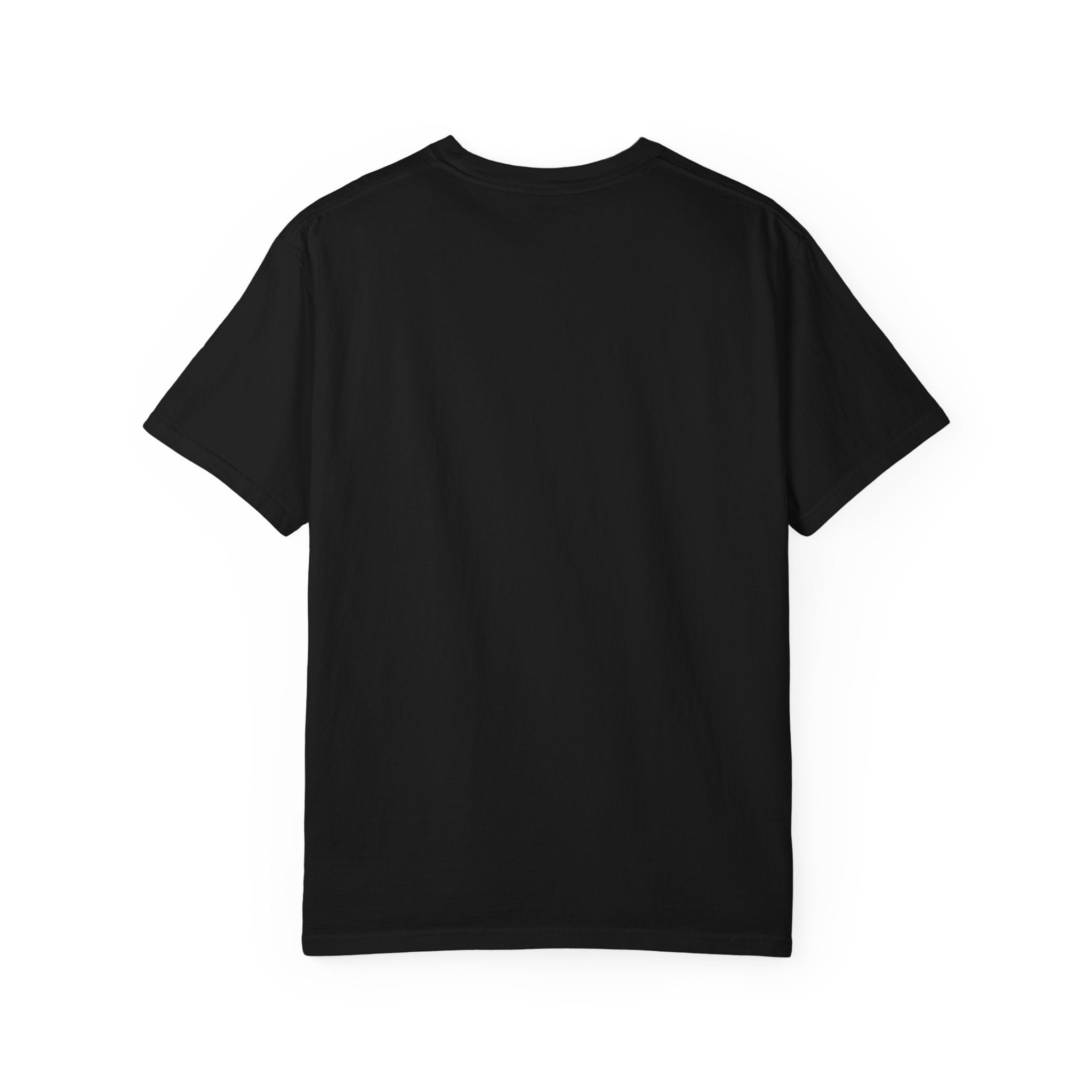 Stars Stripes Salt Air Tee | Comfort Colors 1717