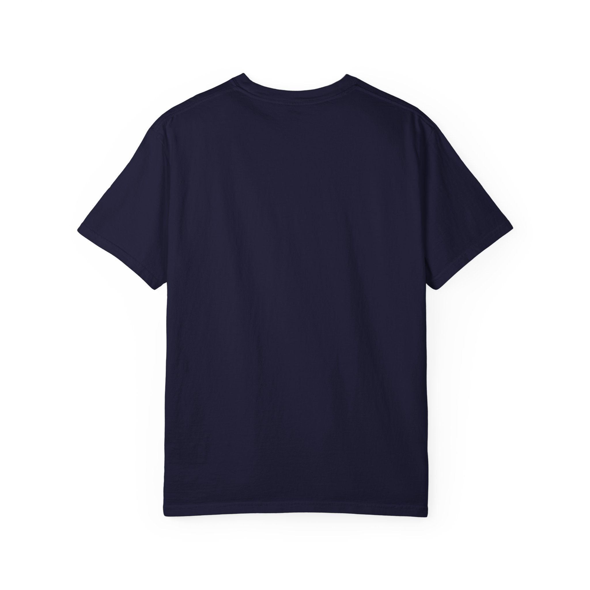 Stars Stripes Salt Air Tee | Comfort Colors 1717