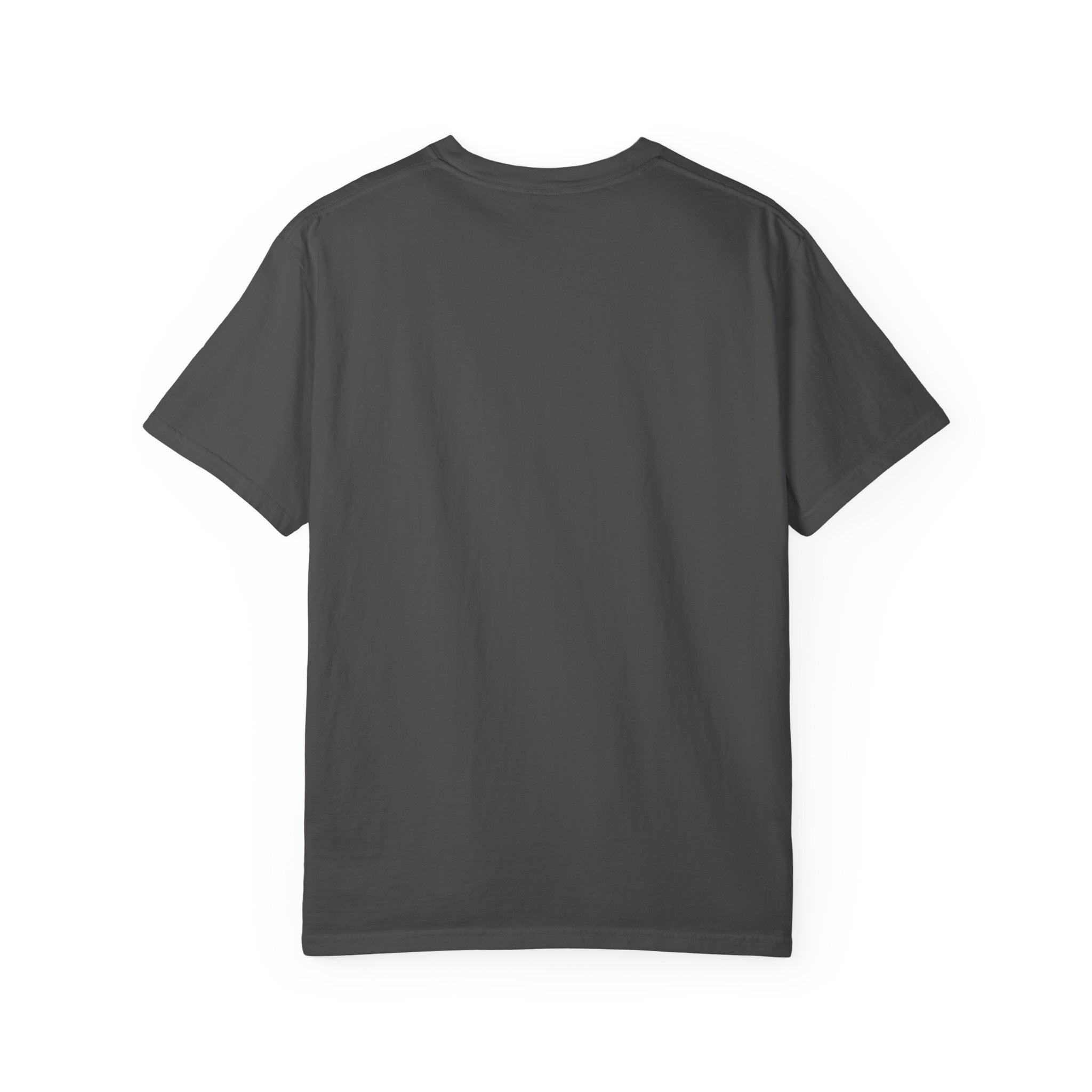 Stars Stripes Salt Air Tee | Comfort Colors 1717